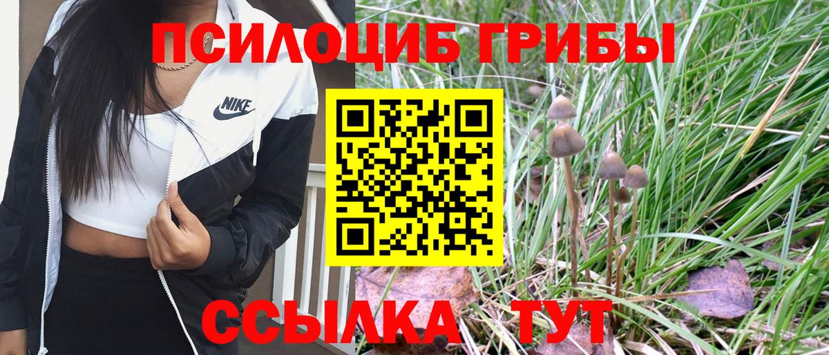 Псилоцибиновые грибы MAGIC MUSHROOMS  Галлюциногенные грибы Cubensis  закладка  Черняховск  Вход с VPN 