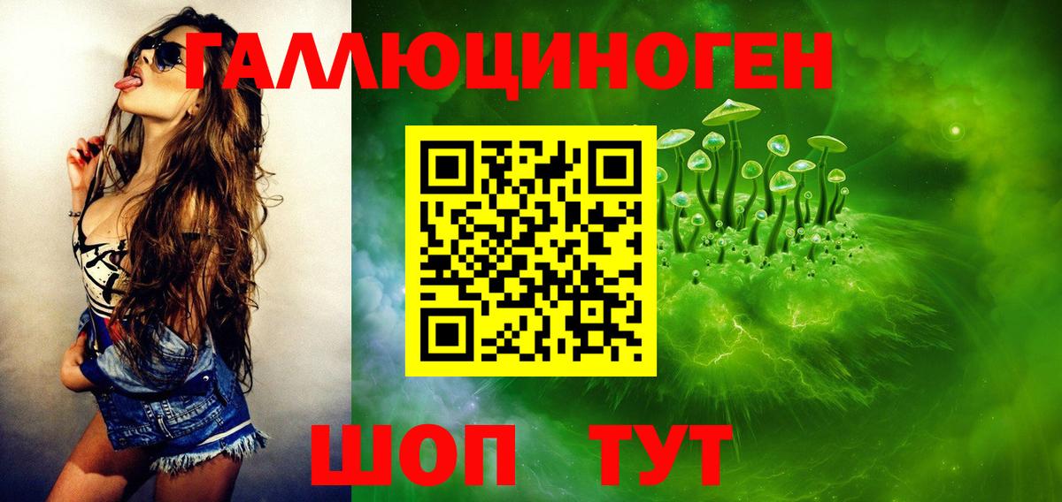 Галлюциногенные грибы прущие грибы Черняховск